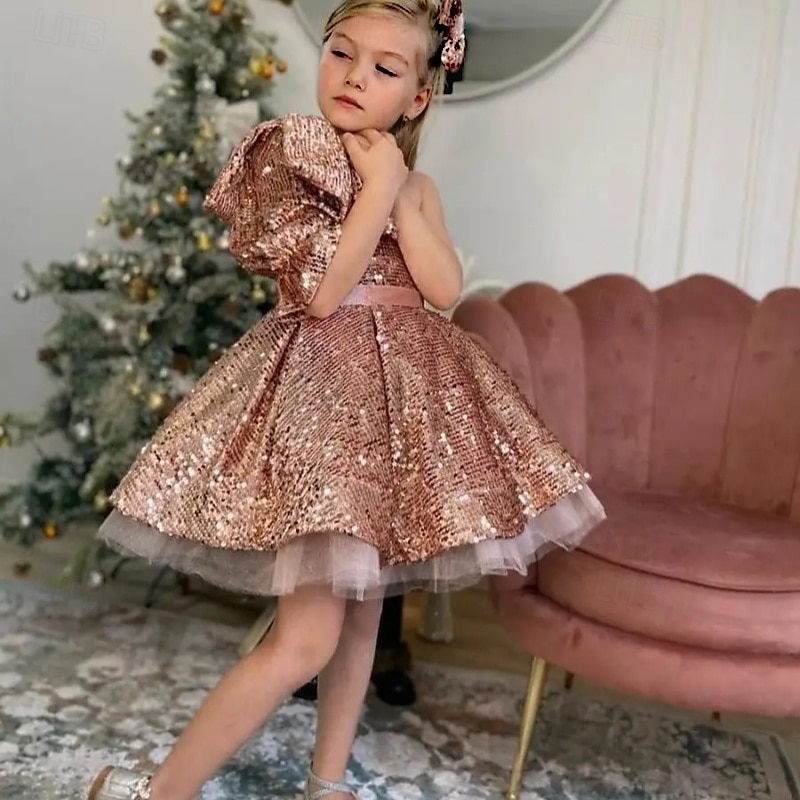 Infantil Para Meninas Vestido de festa Côr Sólida Manga Longa Espetáculo Com Transparência Princesa Doce Com Transparência Longuette Vestido da bainha Vestido De Tule Verão Primavera Outono Crianças de 2025 por $79.99 –P6