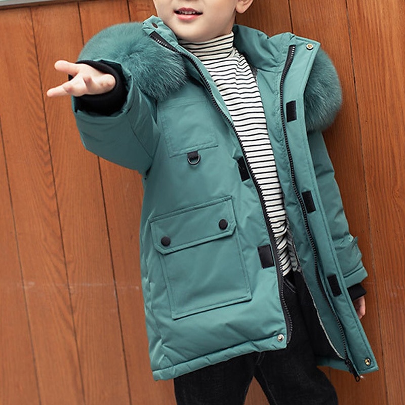Kids Boys Down Coat Hoodie Jacket Outerwear Solid Color Long Sleeve Pocket Coat Outdoor Daily Basic Black Red Green Fall Winter 4 years+ 2025 - $78.99 –P4