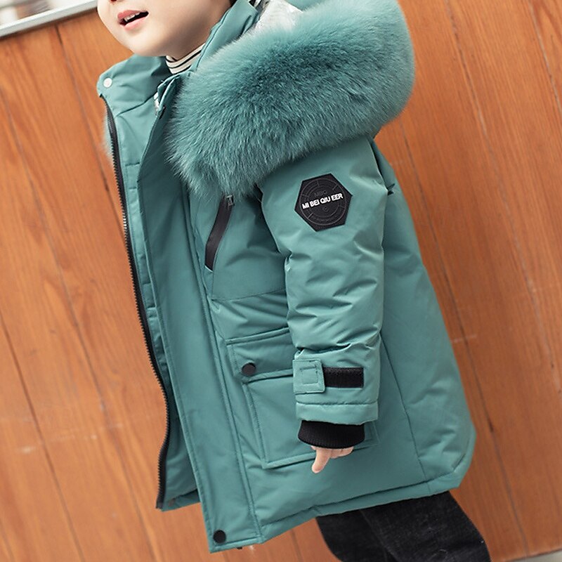 Kids Boys Down Coat Hoodie Jacket Outerwear Solid Color Long Sleeve Pocket Coat Outdoor Daily Basic Black Red Green Fall Winter 4 years+ 2025 - $78.99 –P2