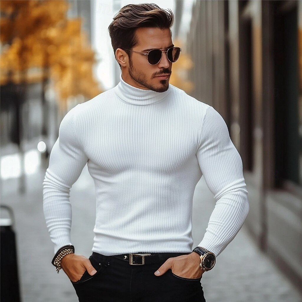 Per uomo Maglietta Maglia a collo alto Maglietta a Maglia a Coste Camicia a Maniche Lunghe Manica Lunga Colletto arrotolato Autunno & Inverno Semplice Leggero Classico Casual A coste All'aperto del 2025 a $17.99 –P3