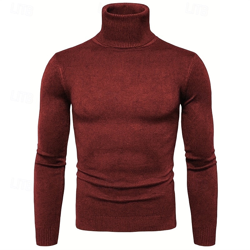 Herren Pullover Strickpullover Rollkragenpullover für Herren Gerippt Stricken Standard Strick Glatt Rollkragen Modisch Brautkleider schlicht Freizeitskleidung Verabredung Bekleidung Herbst Winter 2025 - $38.99 –P6