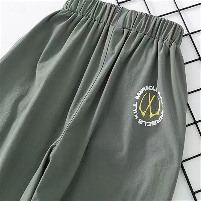 Lapset Poikien Housut Reisitaskuhousut Housut Tilkkutäkki Tasku Yhtenäinen väri Nopeasti kuivuva Hengittävä Comfort Housut ulko- Päivittäin Perus Musta Armeijan vihreä Khaki Keski vyötärö 2025 - €9.99 –P6