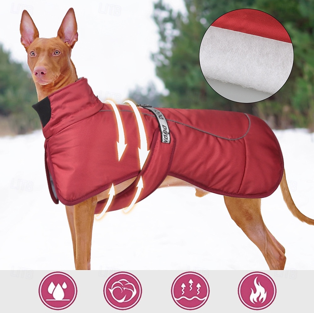 Hunder Frakker Jakke Parka jakke med sele Reflekterende Varm Vannbestandig utendørs Hundeklær for Medium Large 2025 - $26.99 –P1