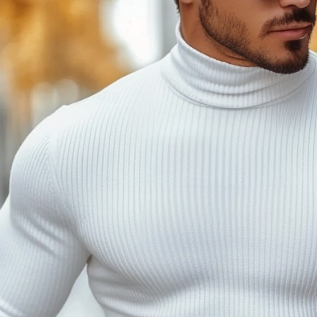 Per uomo Maglietta Maglia a collo alto Maglietta a Maglia a Coste Camicia a Maniche Lunghe Manica Lunga Colletto arrotolato Autunno & Inverno Semplice Leggero Classico Casual A coste All'aperto del 2025 a $17.99 –P2