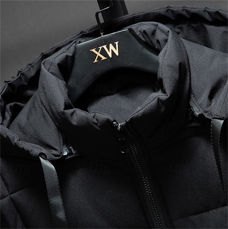 Herr Pufferväst Hoodie väst Vadderad Gilet Quiltad väst Dagligen Datum Semester Mode Ledigt Höst vinter Ficka Avtagbar huva Polyester Håller värmen Bekväm Ensfärgat Dragkedja Huva Normal Svart 2025 - $29.99 –P6