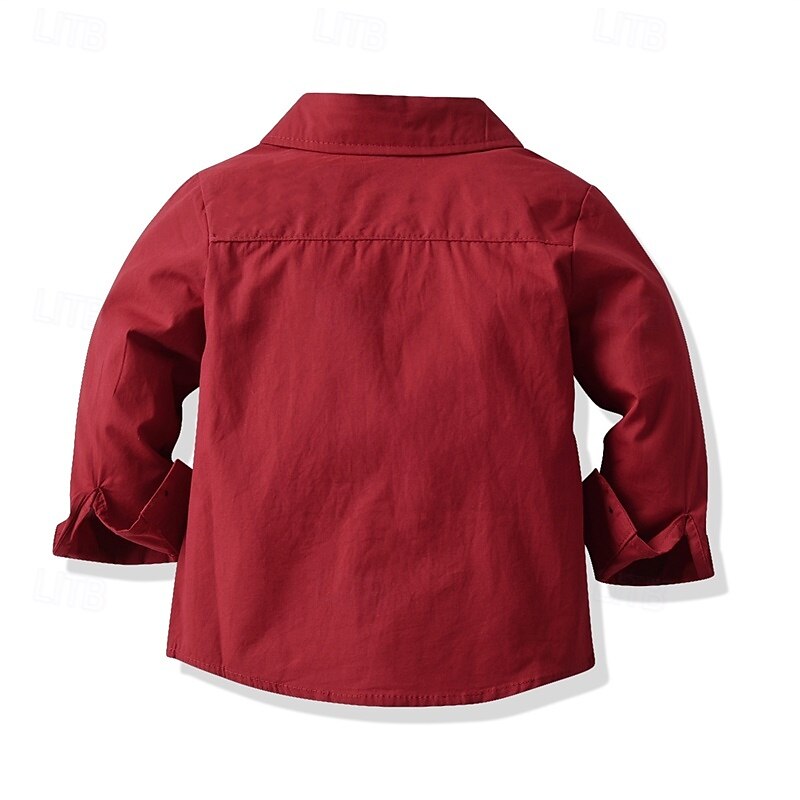 Barn Pojkar Skjortor Ensfärgat Långärmad Lappverk Utomhus Mode Ljusgrön Vår & Höst Kläder 3-7 år 2025 - $19.99 –P3