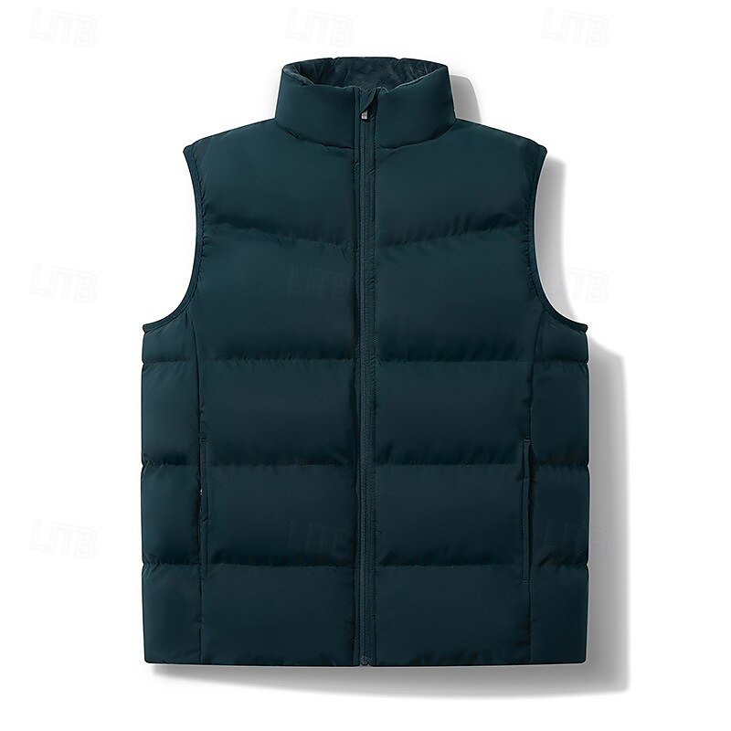 Herren Steppweste Täglich Lässig Herbst Winter Tasche Polyester Bequem Einfarbig Vorne geknöpft Stehkragen Normale Passform Schwarz Königliches Blau Dunkelgrün Hell Gray Weste 2025 - $48.99 –P4