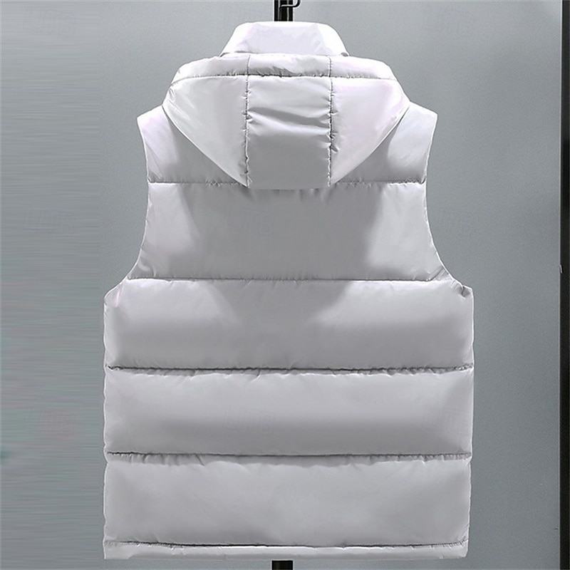 Per uomo Gilet imbottito Gilet con cappuccio Imbottito Gilet Gilet trapuntato Giornaliero Appuntamento Da mare Di tendenza Informale Autunno inverno Tasche Cappuccio staccabile Poliestere Tenere al del 2026 a $41.99 –P2
