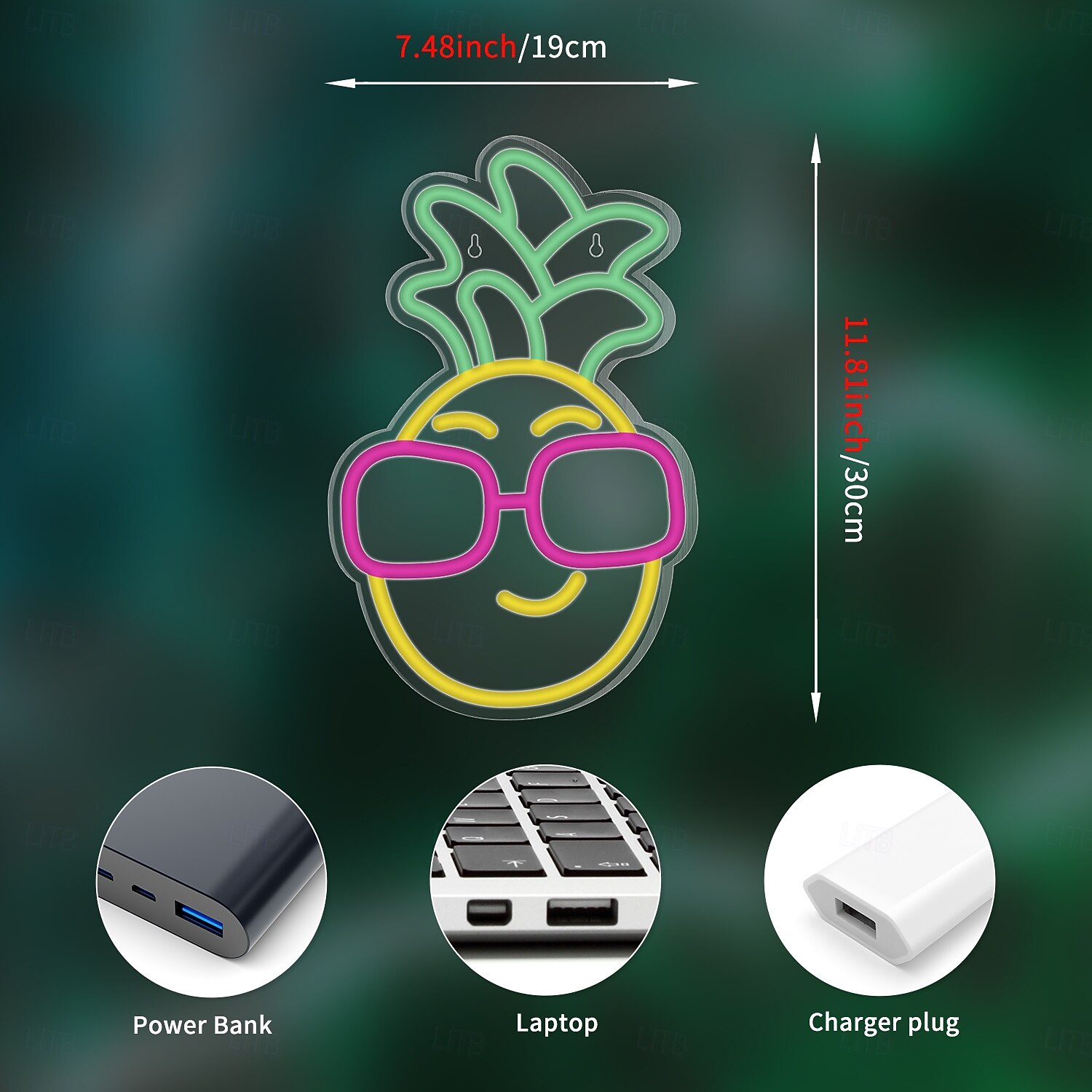 Pineapple Neon Sign Light, USB Powered LED Neon Light for Aesthetic Home Decor, Wedding, Bedroom, Party, Teen Room & Shop Wall Decoration 2025 - $48.99 –P2