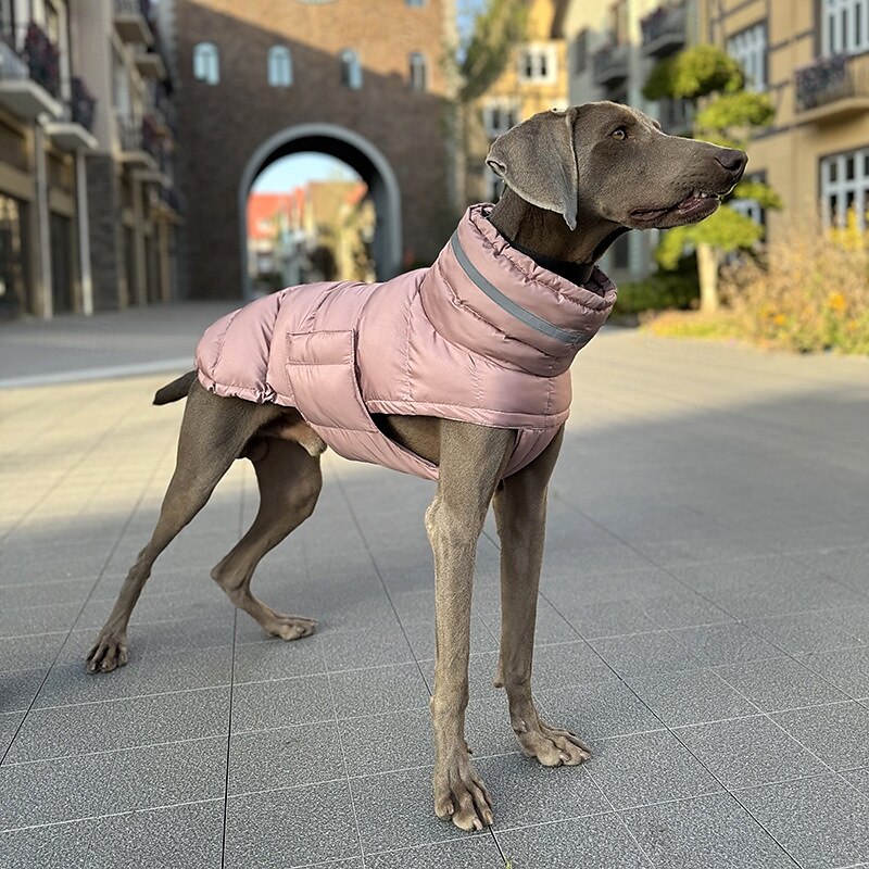 Hunder Frakker Jakke Pufferjakke Reflekterende Justerbare Vanntett Vindtett Varm utendørs Hundeklær for Greyhound Medium Large 2025 - $40.99 –P7