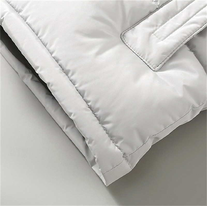 Per uomo Gilet imbottito Gilet con cappuccio Imbottito Gilet Gilet trapuntato Giornaliero Appuntamento Da mare Di tendenza Informale Autunno inverno Tasche Cappuccio staccabile Poliestere Tenere al del 2026 a $41.99 –P7