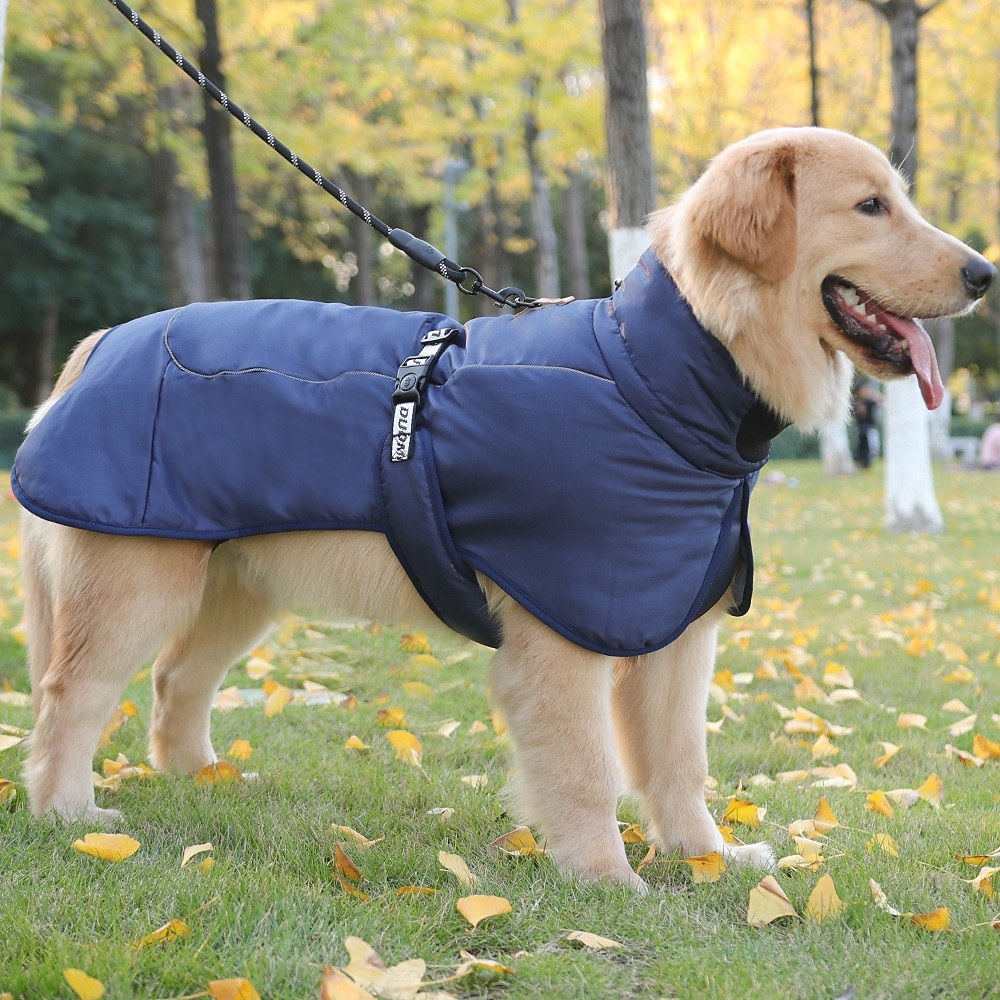 Hunder Frakker Jakke Parka jakke med sele Reflekterende Varm Vannbestandig utendørs Hundeklær for Medium Large 2025 - $26.99 –P15