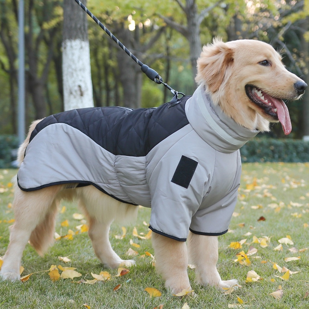 Dog Coat Jacket Parka Jacket with Harness Reflective Warm Water-Resistant Outdoor Dog Clothing for Medium Large 2025 - $20.99 –P12