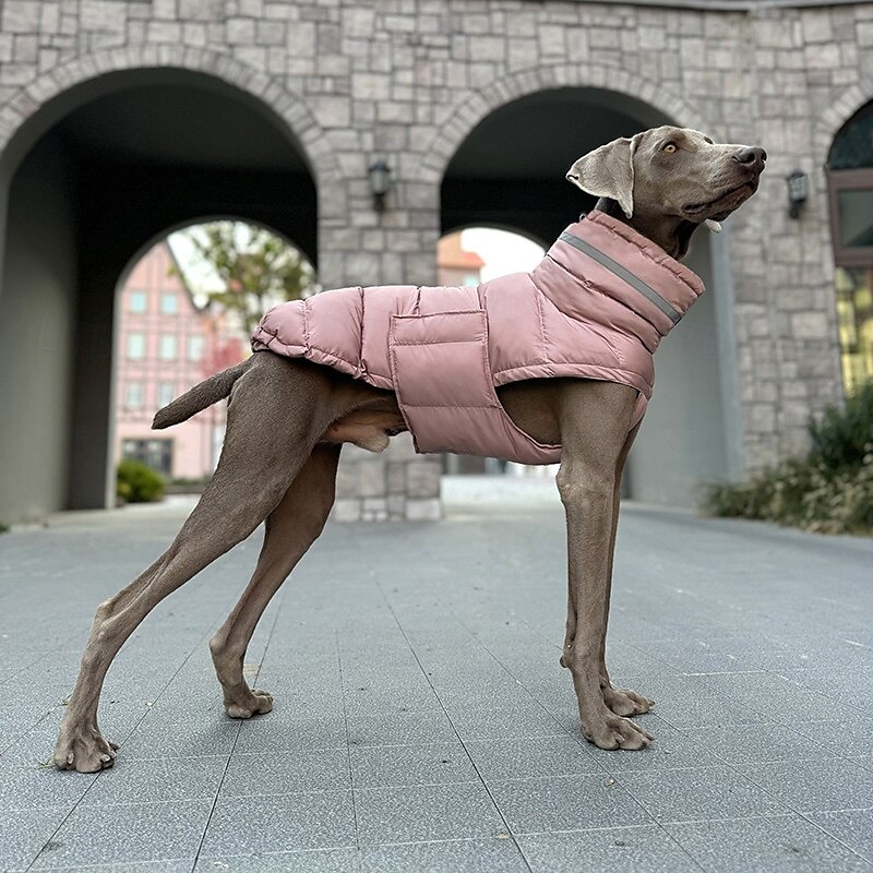 Hunder Frakker Jakke Pufferjakke Reflekterende Justerbare Vanntett Vindtett Varm utendørs Hundeklær for Greyhound Medium Large 2025 - $40.99 –P6