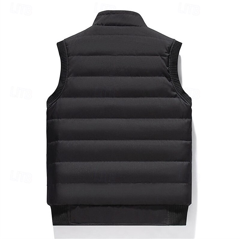 Per uomo Gilet imbottito Quotidiano Casual Autunno & Inverno Tasca Poliestere Caldo Tinta unica Cerniera Collo alla coreana Vestibilità regolare Nero Blu marino scuro Blu Cachi Gilet del 2025 a $42.99 –P8
