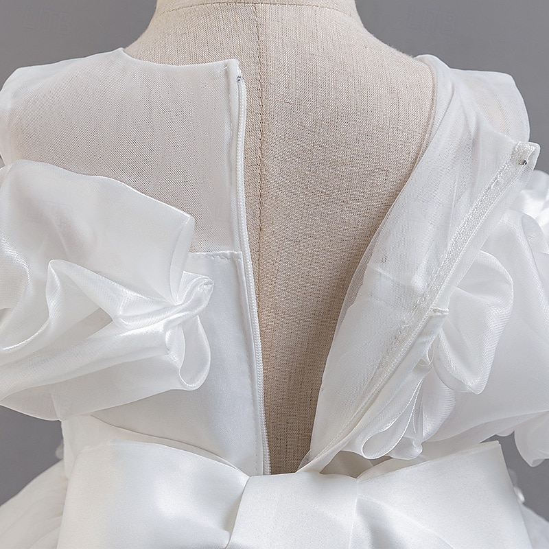 Copii Fete Rochie de petrecere Floral Floare Manșon scurt Nuntă Ocazie specială Zdrobit Fermoar Frumoasa Dulce Bumbac Poliester Asimetric Rochie de petrecere Vară Primăvară Toamnă 4-13 ani Alb 2025 - $41.99 –P5