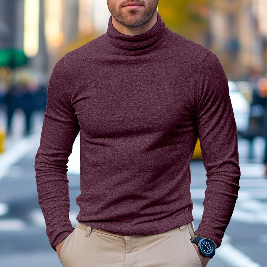 Hombre Camiseta superior Camisa de manga larga Jersey de cuello alto simulado Manga Larga Cuello Alto Cuello de pila Invierno Primavera & Otoño Color sólido Diario Casual Estilo callejero Cuello Alto 2025 - €12.99 –P14