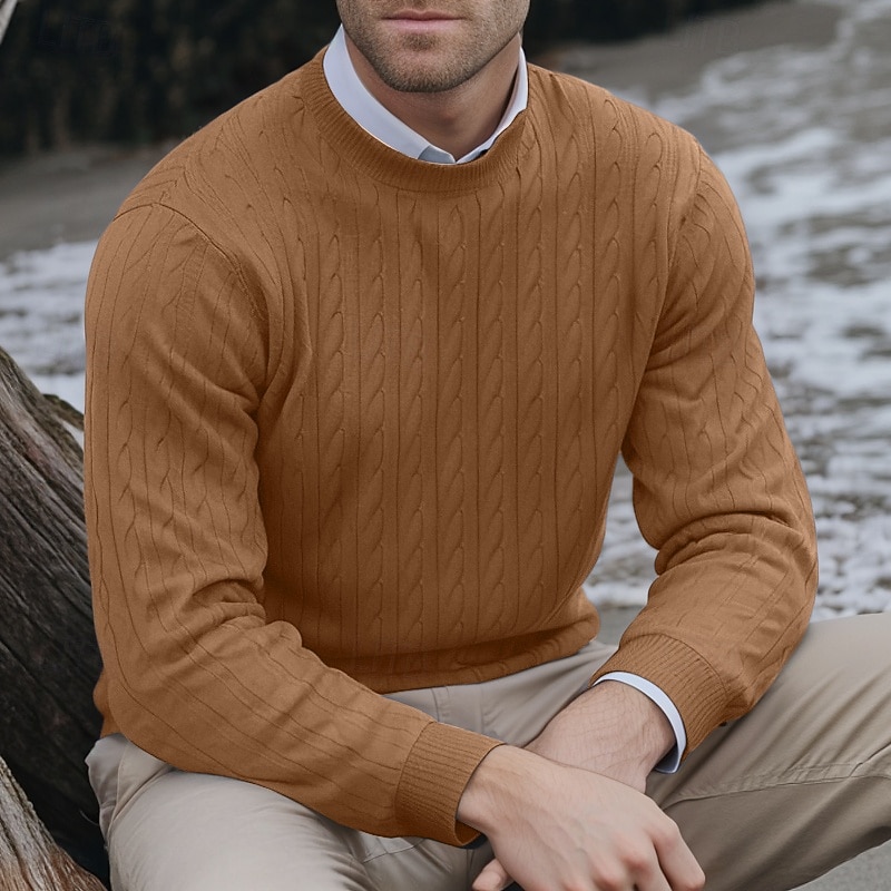Men's Sweater Pullover Sweater Jumper Cable Knit Sweater Cable Knit Regular Classic Style Knitted Solid Color Round Neck Modern Contemporary Work Daily Wear Clothing Apparel Fall Winter Black White S 2026 - $26.99 –P1