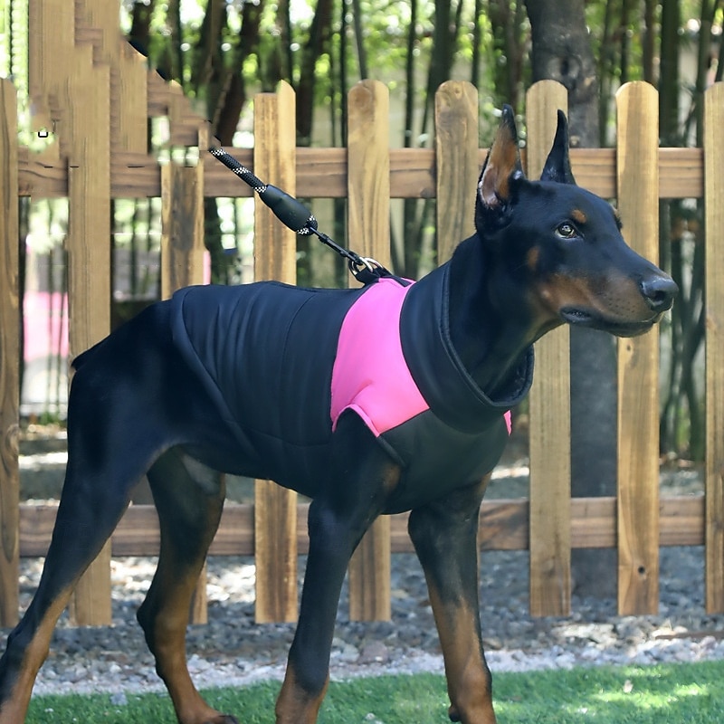 Hund Kappor Jakke Puffer Jack Vinter Vattentät Varm Bekväm Utomhus Inomhus Hemma kläder Medium 2025 - $14.49 –P4