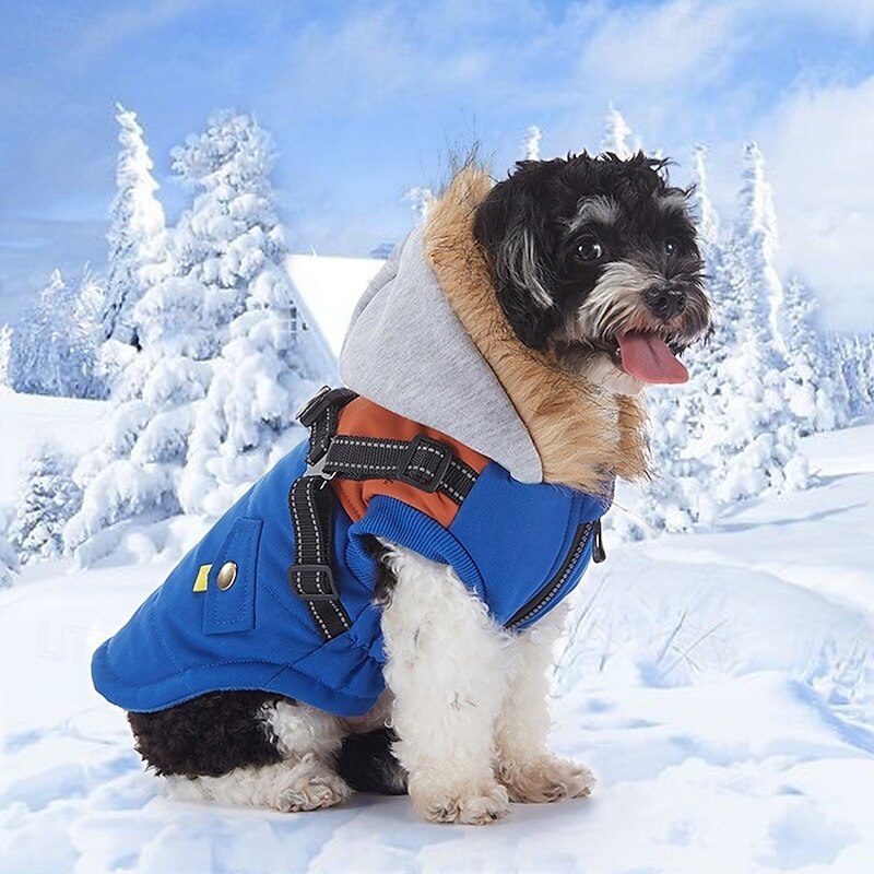 Dog Coat Jacket Fashion Winter Warm Fashion Comfortable Outdoor Dailywear Homewear Dog Clothing for Small Medium 2025 - $26.99 –P1