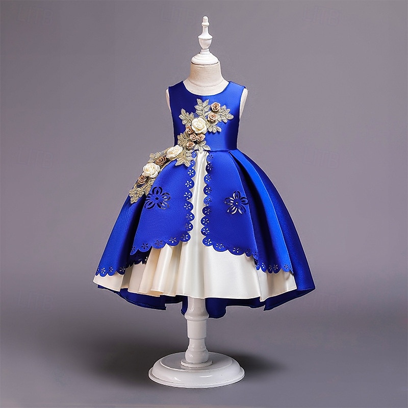 Blumenmädchenkleid Kinder Mädchen Prinzessinenkleid Leistung Hochzeit Party Elegant Schön Patchwork Blumen Ärmellos Rundhalsausschnitt Weinrot Rosa 4 Jahre + 2025 - $30.99 –P11