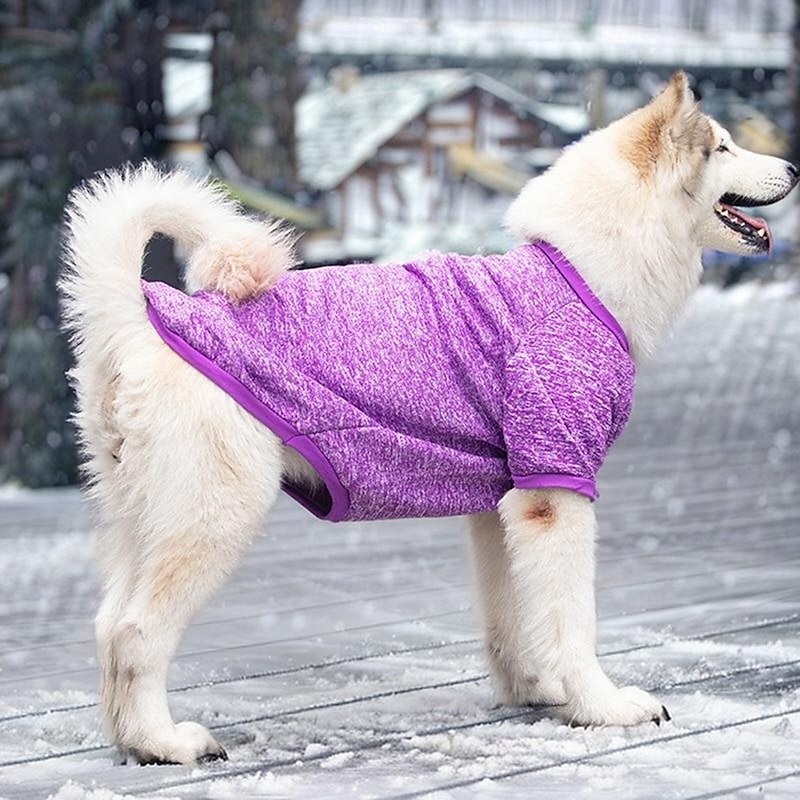 Hunder Katter Genser Mote søt stil Vinter Varm Myk Vaskbar Bekvem utendørs Sport Hundeklær for Husky Labrador malamute golden retriever Border Collie 2025 - $27.99 –P6