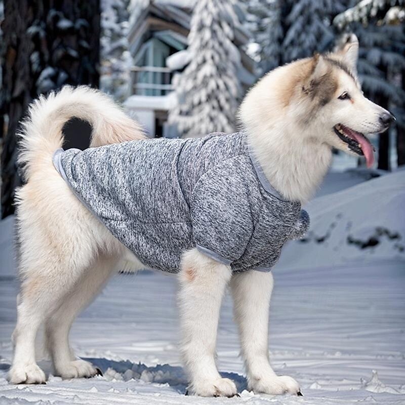 Hunder Katter Genser Mote søt stil Vinter Varm Myk Vaskbar Bekvem utendørs Sport Hundeklær for Husky Labrador malamute golden retriever Border Collie 2025 - $27.99 –P7