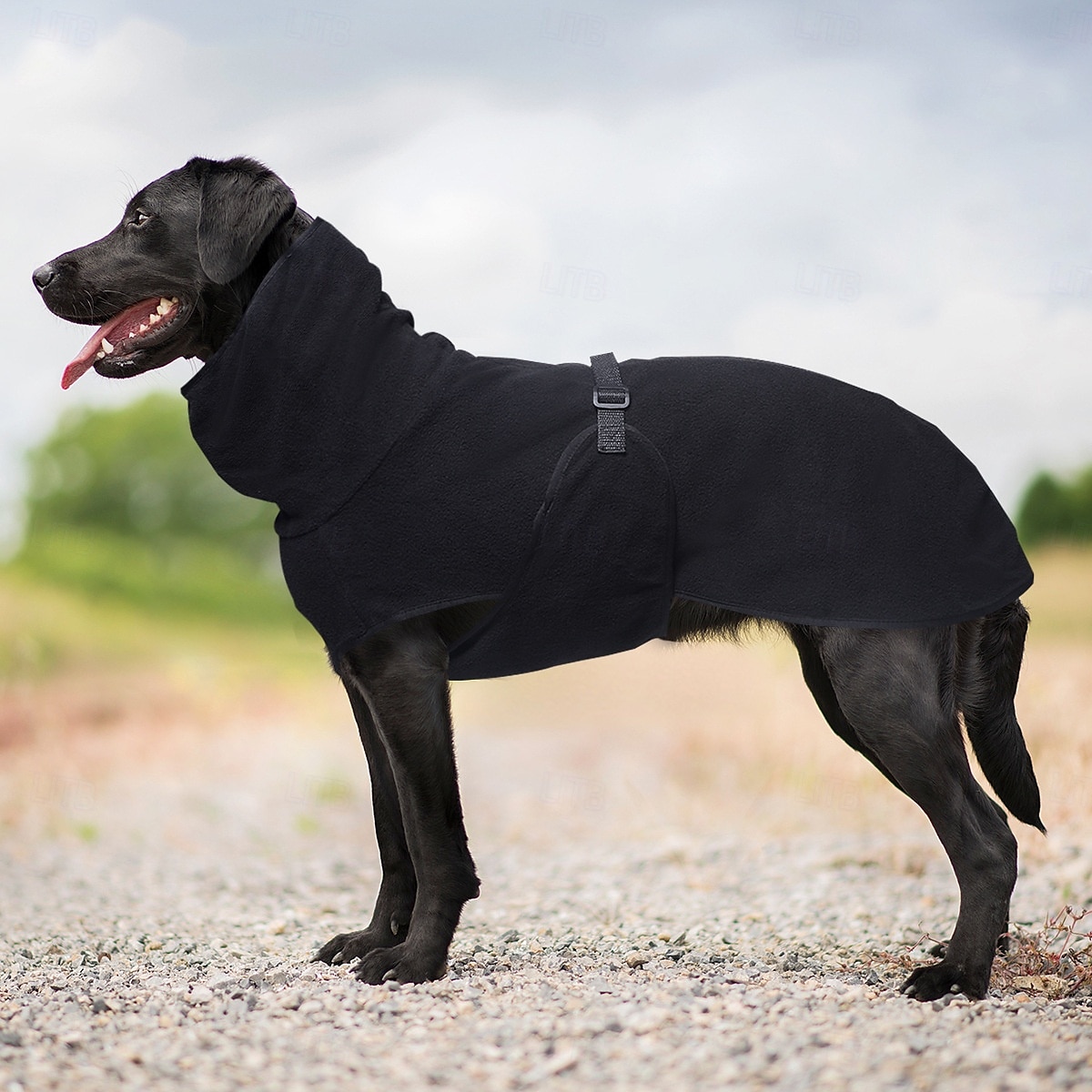 Perros Abrigos Chaleco de lana Invierno Templado Cómodo Exterior Interior Ropa de casa Medio Grande 2025 - $16.99 –P5
