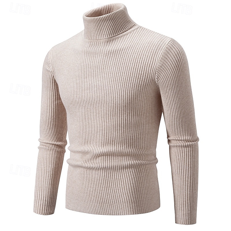 Herren Pullover Gerippt Stricken Standard Strick Schmaler Schnitt Glatt Rollkragen Moderne zeitgenössische Arbeit Freizeitskleidung Bekleidung Winter Frühling & Herbst Schwarz Weiß M L XL 2025 - $25.99 –P6