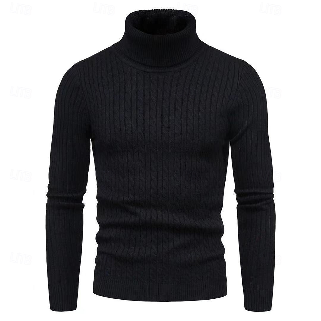 Herren Rollkragenpulli Pullover Gerippt Stricken Standard Strick Schmaler Schnitt Glatt Rollkragen Moderne zeitgenössische Arbeit Freizeitskleidung Bekleidung Winter Frühling & Herbst Schwarz Weiß M 2025 - $21.99 –P7