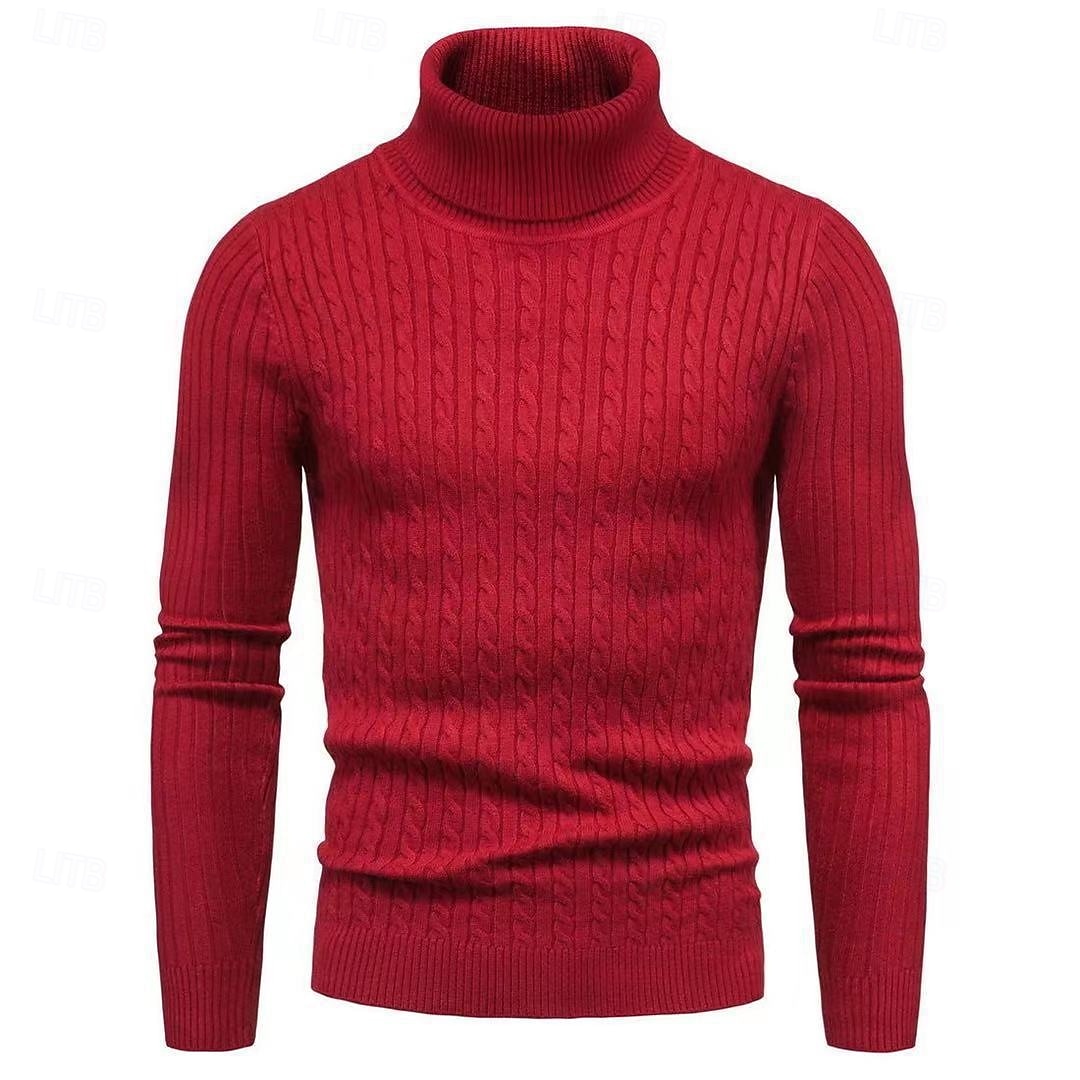 Herren Rollkragenpulli Pullover Gerippt Stricken Standard Strick Schmaler Schnitt Glatt Rollkragen Moderne zeitgenössische Arbeit Freizeitskleidung Bekleidung Winter Frühling & Herbst Schwarz Weiß M 2025 - $21.99 –P8