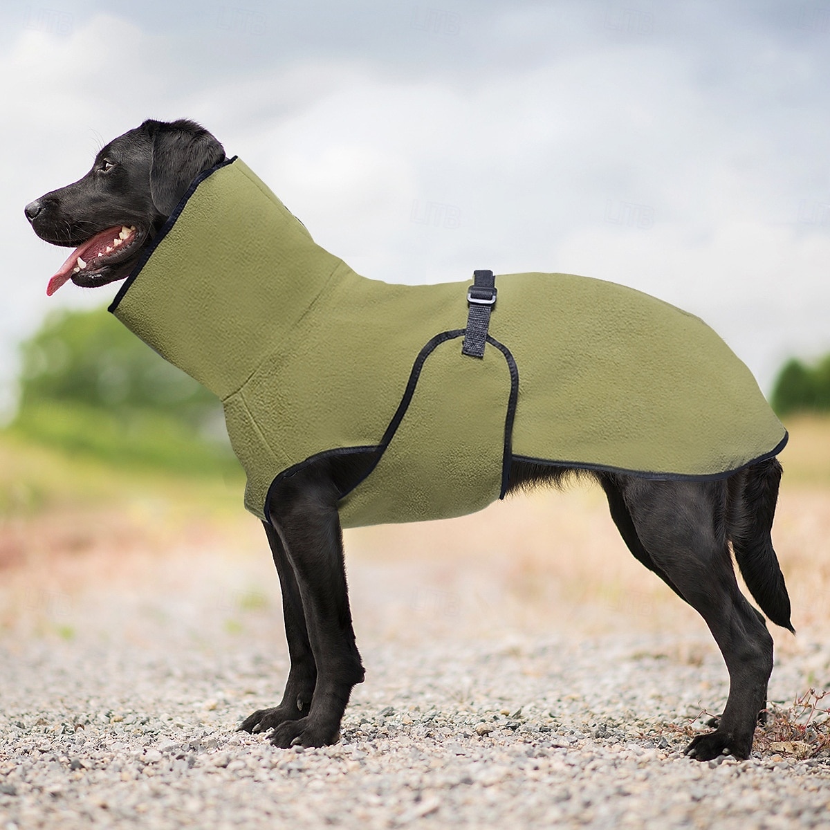 Perros Abrigos Chaleco de lana Invierno Templado Cómodo Exterior Interior Ropa de casa Medio Grande 2025 - $16.99 –P8
