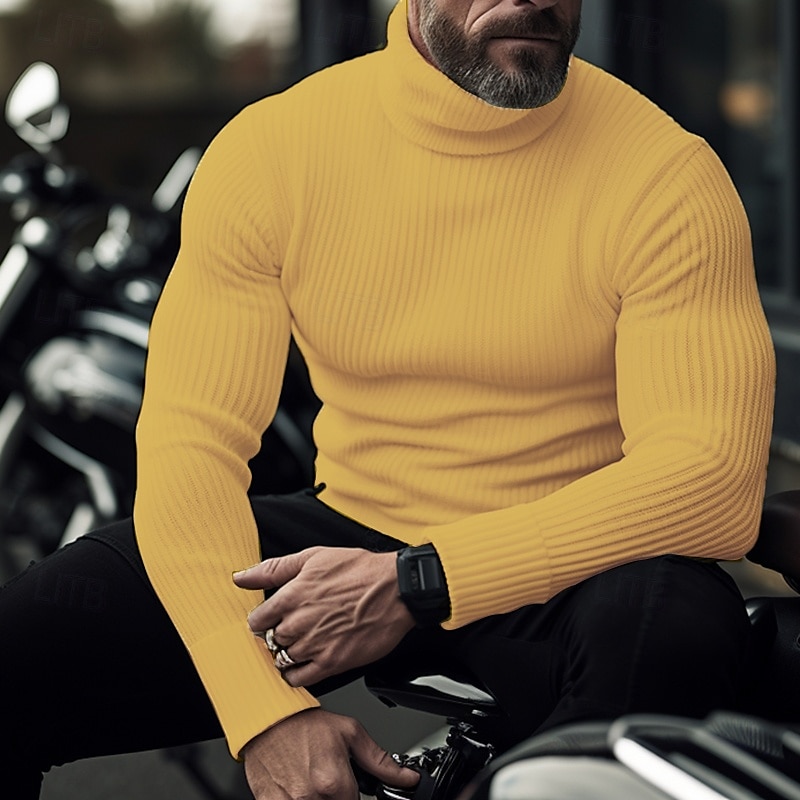 Men's Turtleneck Sweater Pullover Sweater Jumper Knit Sweater Ribbed Knit Regular Tops Pitted Plain Roll Neck Keep Warm Modern Contemporary Casual Daily Wear Clothing Apparel Fall Winter Black White 2025 - $24.99 –P10