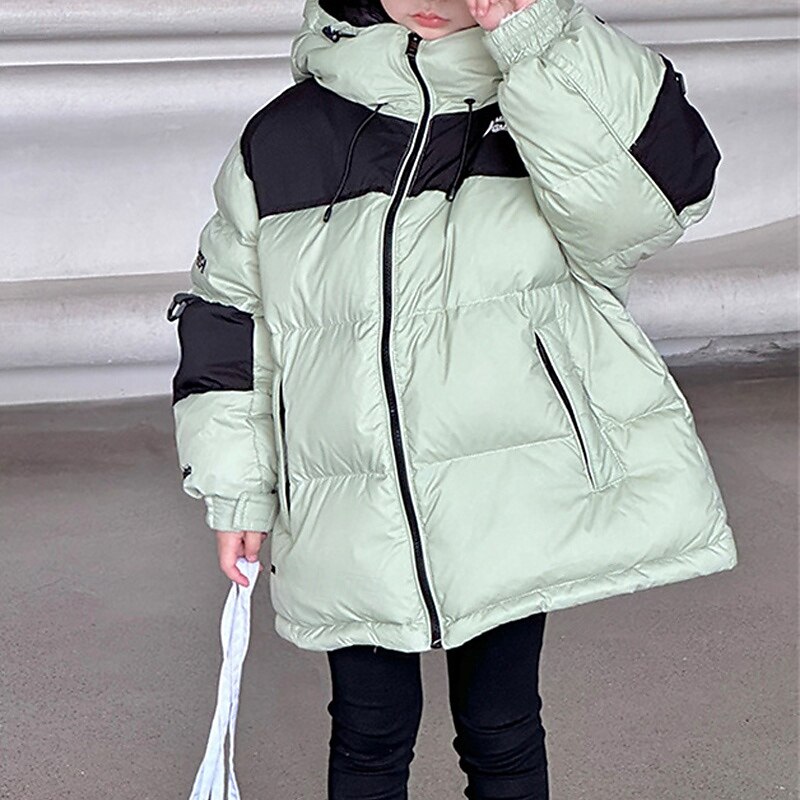 Barn Pojkar Ner Hoodiejacka Pufferjacka Ytterkläder Färgblock Långärmad Ficka Täcka Utomhus Dagligen Grundläggande Svart Grön Höst Vinter 4 år + 2025 - $86.99 –P10