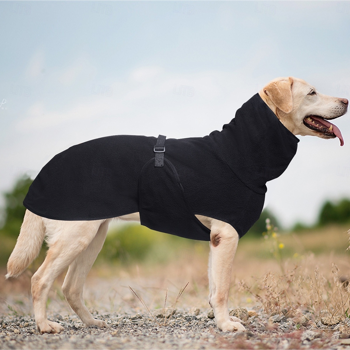 Perros Abrigos Chaleco de lana Invierno Templado Cómodo Exterior Interior Ropa de casa Medio Grande 2025 - $16.99 –P6