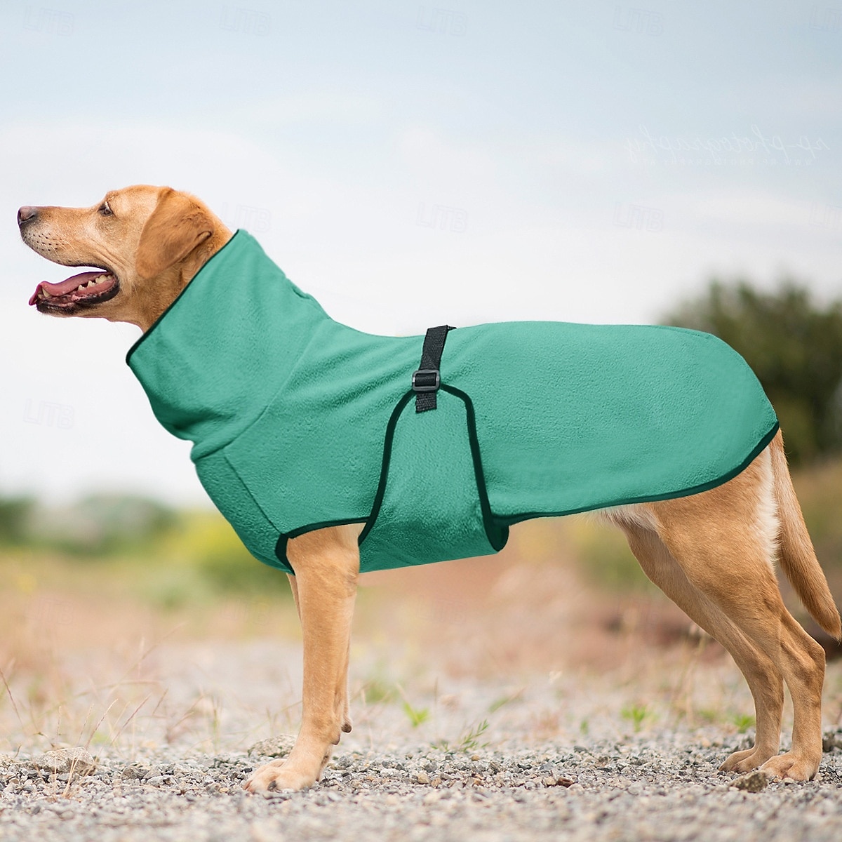 Perros Abrigos Chaleco de lana Invierno Templado Cómodo Exterior Interior Ropa de casa Medio Grande 2025 - $16.99 –P2