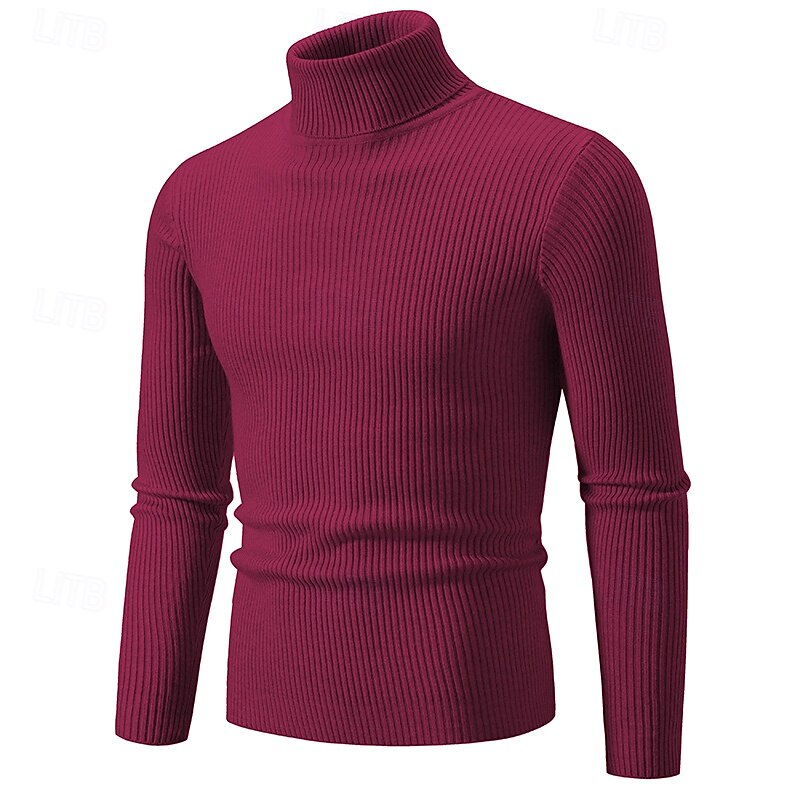 Herren Pullover Gerippt Stricken Standard Strick Schmaler Schnitt Glatt Rollkragen Moderne zeitgenössische Arbeit Freizeitskleidung Bekleidung Winter Frühling & Herbst Schwarz Weiß M L XL 2025 - $25.99 –P10