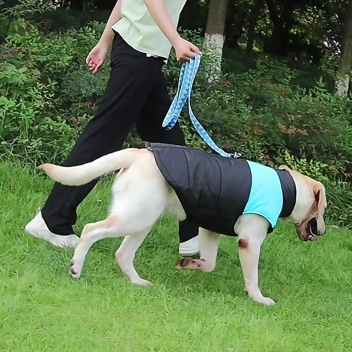 Hund Kappor Jakke Puffer Jack Vinter Vattentät Varm Bekväm Utomhus Inomhus Hemma kläder Medium 2025 - $14.49 –P5