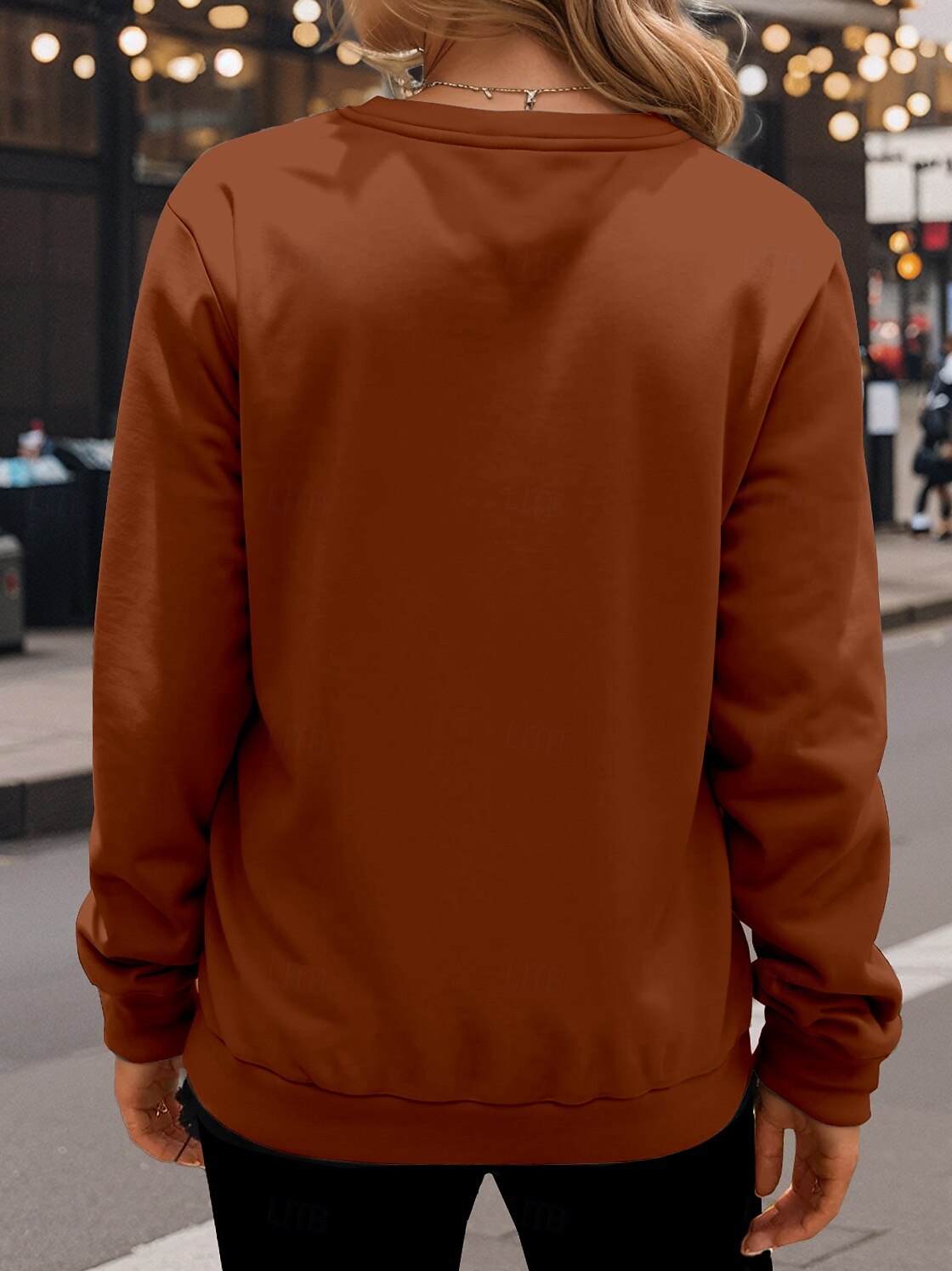 Women's Sweatshirt Casual Dog Street Dailywear Crew Neck Print Long Sleeve Brown Fall Winter 2025 - $24.99 –P2