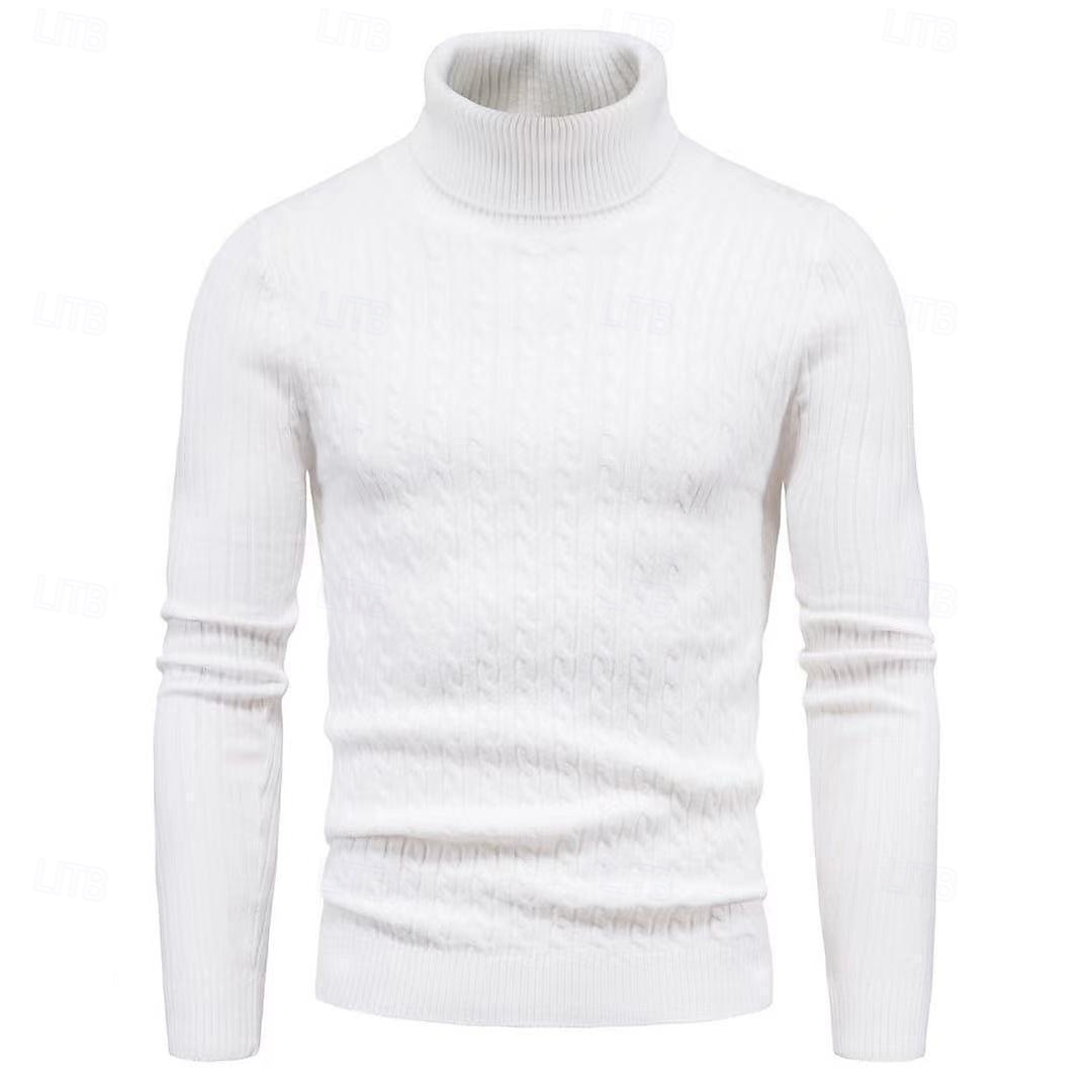 Herren Rollkragenpulli Pullover Gerippt Stricken Standard Strick Schmaler Schnitt Glatt Rollkragen Moderne zeitgenössische Arbeit Freizeitskleidung Bekleidung Winter Frühling & Herbst Schwarz Weiß M 2025 - $21.99 –P6