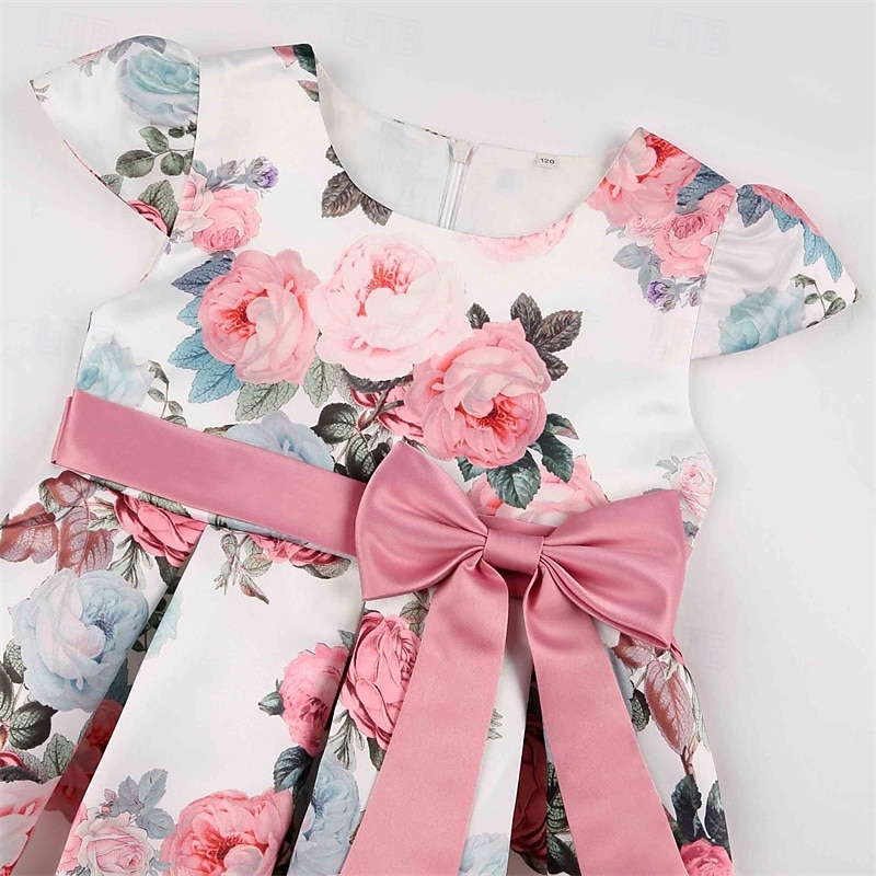 Enfants Fille Robe de fête Fleur Manche Courte Utilisation Anniversaire Noeud de cravate Magnifique Doux Coton Maxi robe soirée Robe Évasée Robe Trapèze Eté 4 ans et + Jaune Rose Claire Rouge de 2025 ? $32.99 –P15