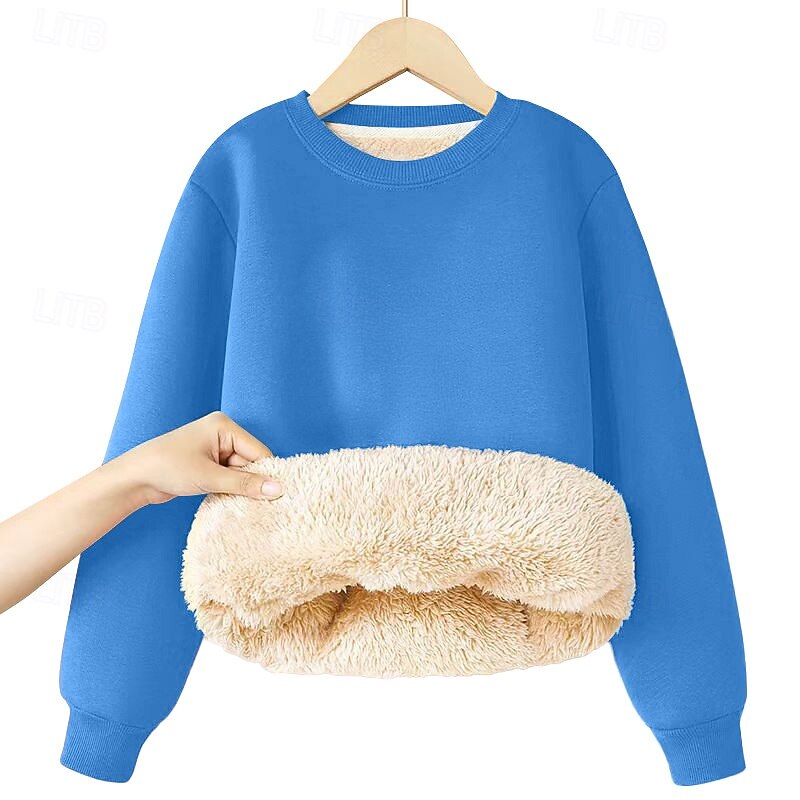Kids Girls' Sweatshirt Solid Color Long Sleeve Crewneck Winter Sports Streetwear Daily Rabbit Fur Outdoor Casual Regular Fit 2025 - $11.99 –P6