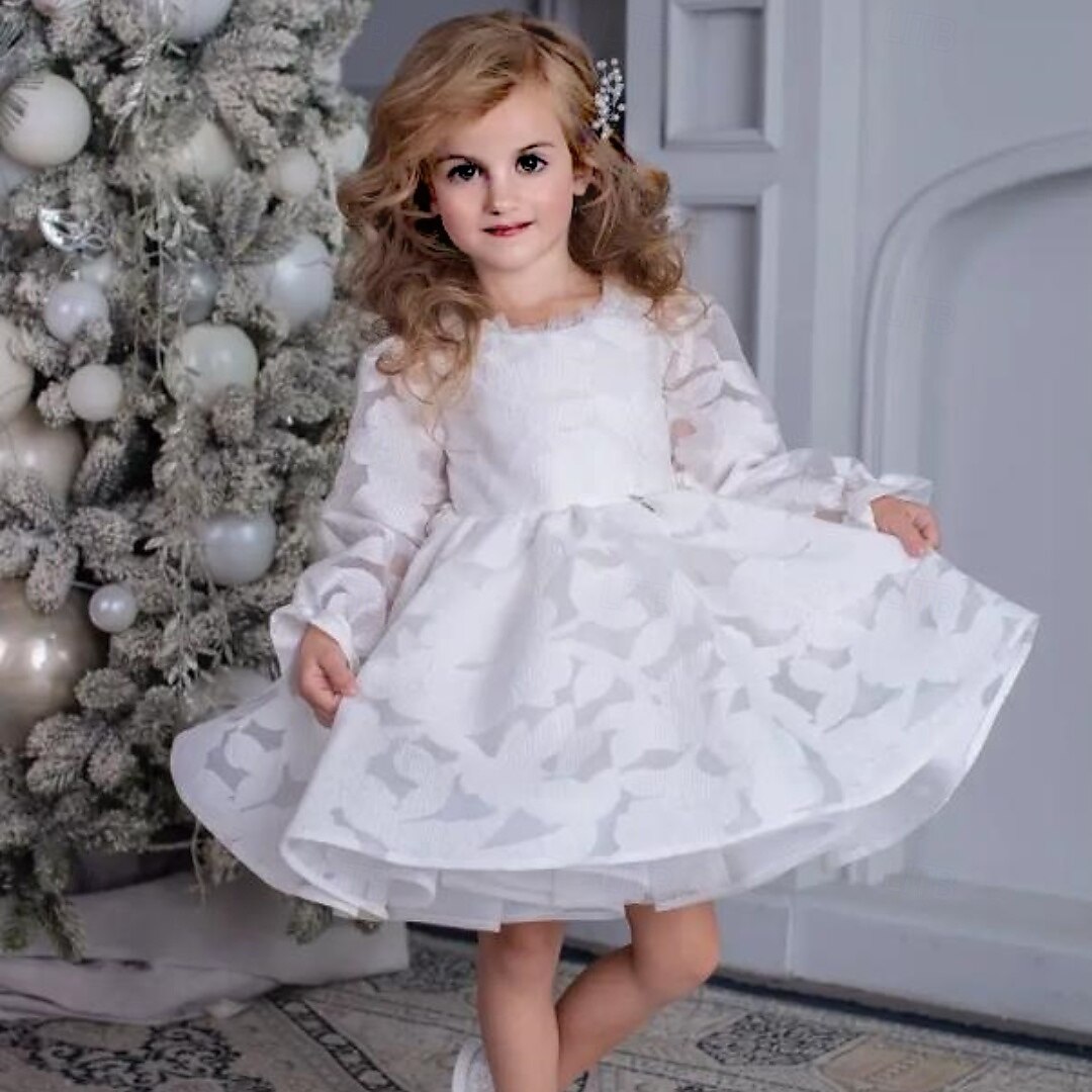 Infantil Para Meninas Vestido de daminha de honra Vestido de Primeira Comunhão Vestido de festa Côr Sólida Manga Longa Espetáculo Casamento Festa Com Transparência Princesa Doce Com Transparência de 2025 por $83.99 –P1