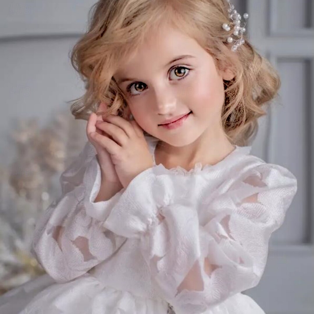 Infantil Para Meninas Vestido de daminha de honra Vestido de Primeira Comunhão Vestido de festa Côr Sólida Manga Longa Espetáculo Casamento Festa Com Transparência Princesa Doce Com Transparência de 2025 por $83.99 –P2