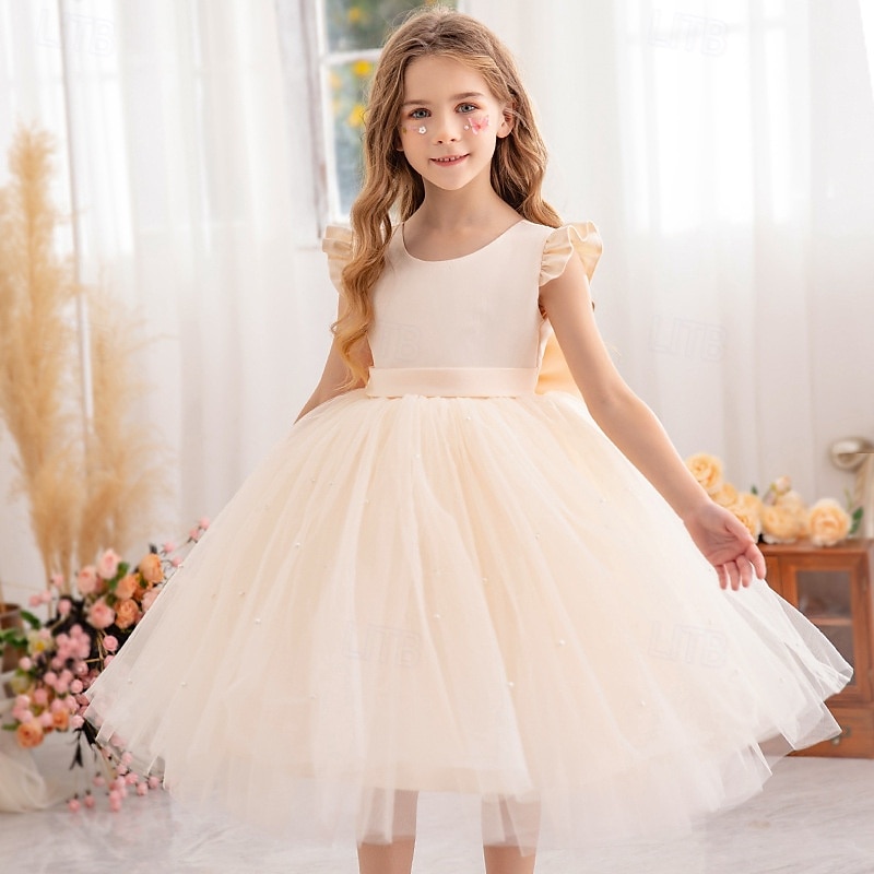 Bloemenmeisjesjurk kinderen Voor meisjes Prinses jurk Prestatie Bruiloft Feest Elegant Mooi Netstof Effen Kleur Mouwloos Strakke ronde hals Lichtgeel Licht Roze 4 jaar + 2025 - $30.99 –P9