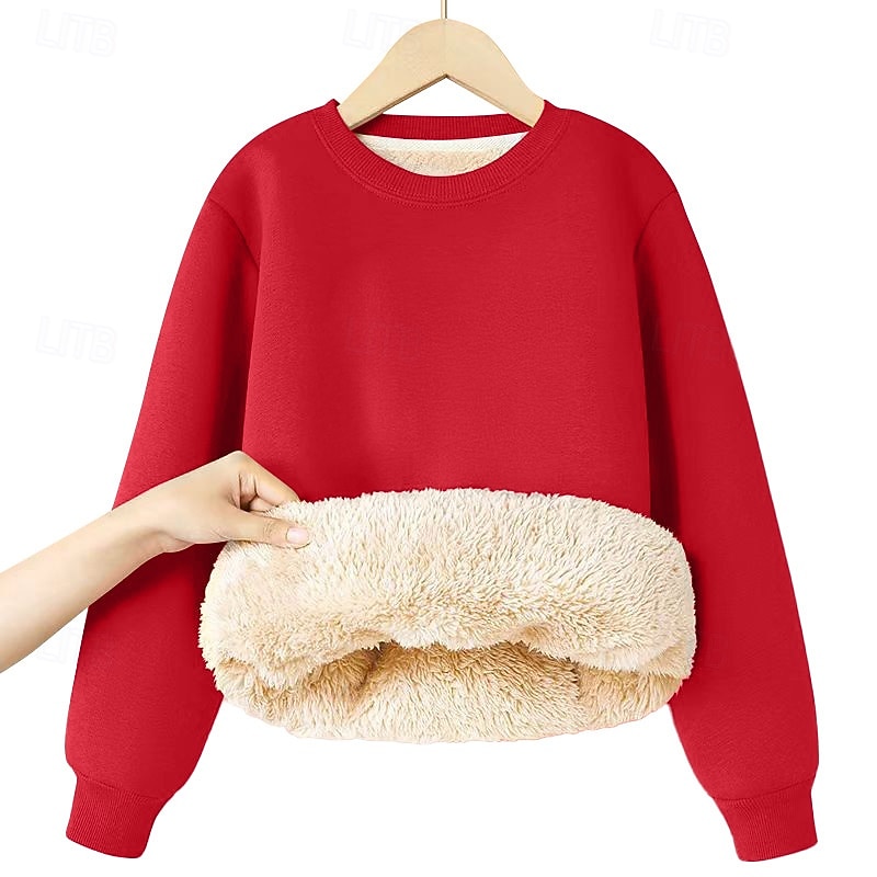 Kids Girls' Sweatshirt Solid Color Long Sleeve Crewneck Winter Sports Streetwear Daily Rabbit Fur Outdoor Casual Regular Fit 2025 - $11.99 –P8