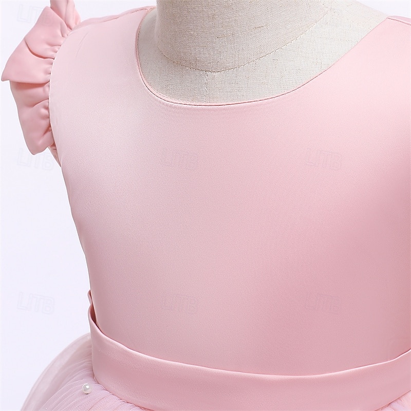 Bloemenmeisjesjurk kinderen Voor meisjes Prinses jurk Prestatie Bruiloft Feest Elegant Mooi Netstof Effen Kleur Mouwloos Strakke ronde hals Lichtgeel Licht Roze 4 jaar + 2025 - $30.99 –P20