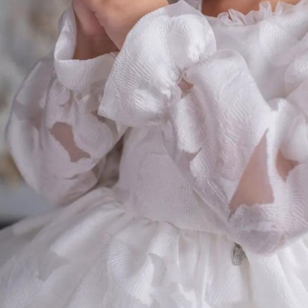 Infantil Para Meninas Vestido de daminha de honra Vestido de Primeira Comunhão Vestido de festa Côr Sólida Manga Longa Espetáculo Casamento Festa Com Transparência Princesa Doce Com Transparência de 2025 por $83.99 –P5