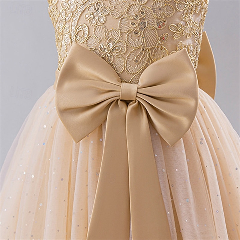 kinderkleidung Mädchen Blumenmädchen Kleid Party Kleid Farbblock Ärmellos Leistung Hochzeit Party Krawattenknoten Schön Süß Polyester Maxi abendkleider Schaukelkleid A Linie Kleid Sommer 4 Jahre + 2025 - $47.99 –P7