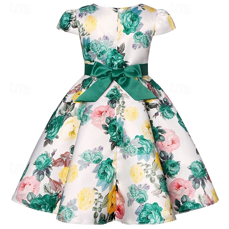 Enfants Fille Robe de fête Fleur Manche Courte Utilisation Anniversaire Noeud de cravate Magnifique Doux Coton Maxi robe soirée Robe Évasée Robe Trapèze Eté 4 ans et + Jaune Rose Claire Rouge de 2025 ? $32.99 –P6